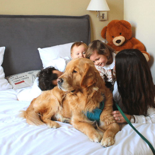 La journée mondiale des animaux