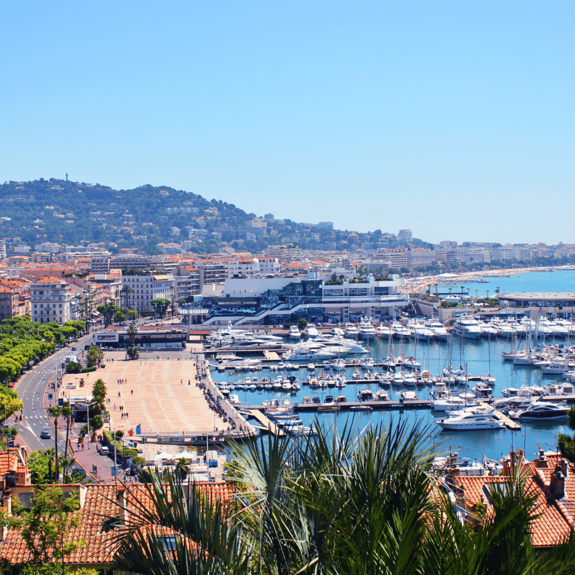Location saisonnière à Cannes : un marché exigeant pour les propriétaires