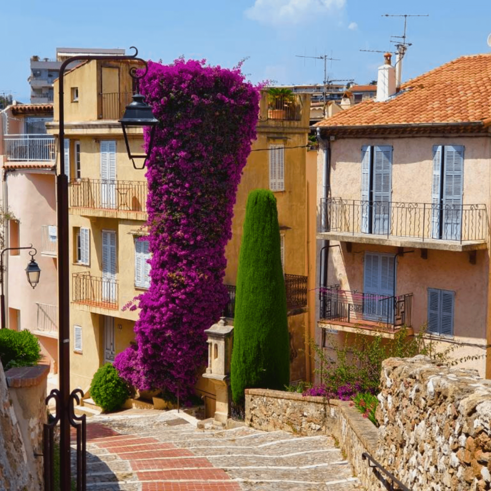 Découvrez Cannes au Printemps : Vivez une Expérience Inoubliable avec Florella
