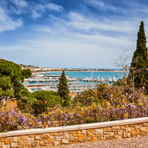 Que faire à Cannes en juillet et août 2026 ? Notre guide complet pour un été inoubliable