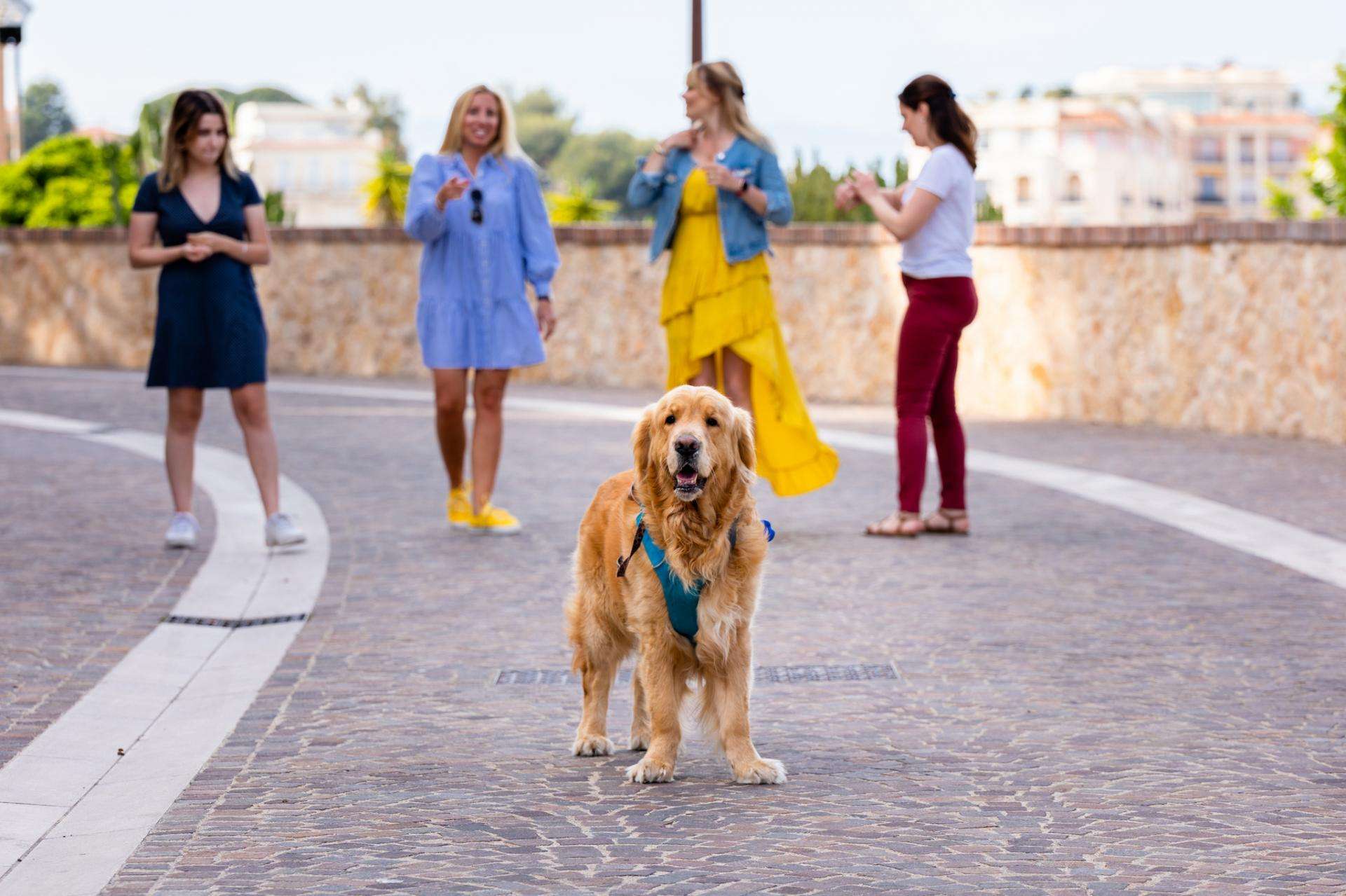 Flash Interview : L’entretien du gérant de Florella