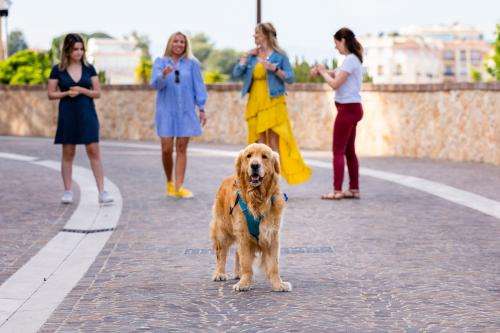 Flash Interview : L’entretien du gérant de Florella